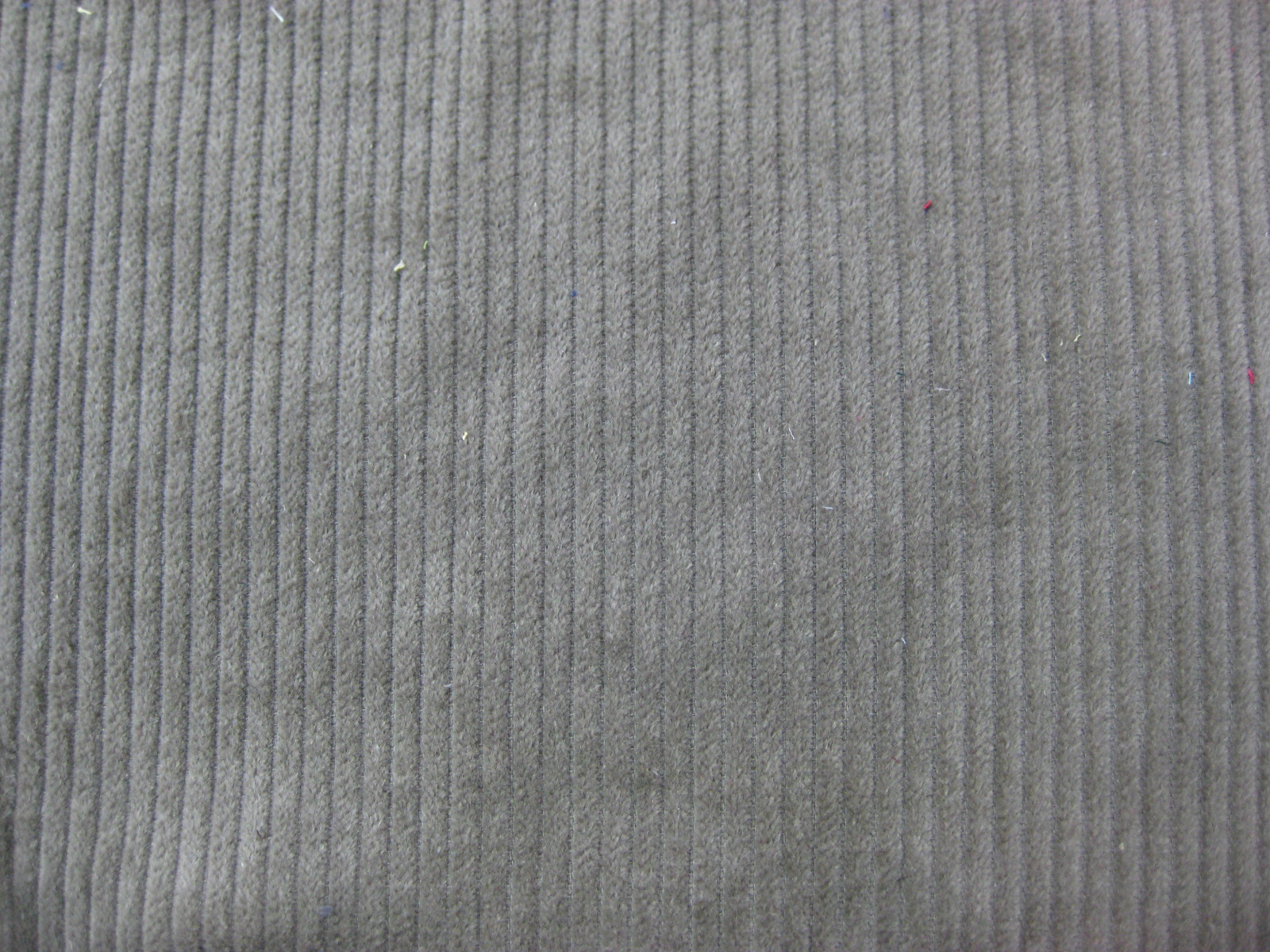 COTTON CORUDORY 4.5W
