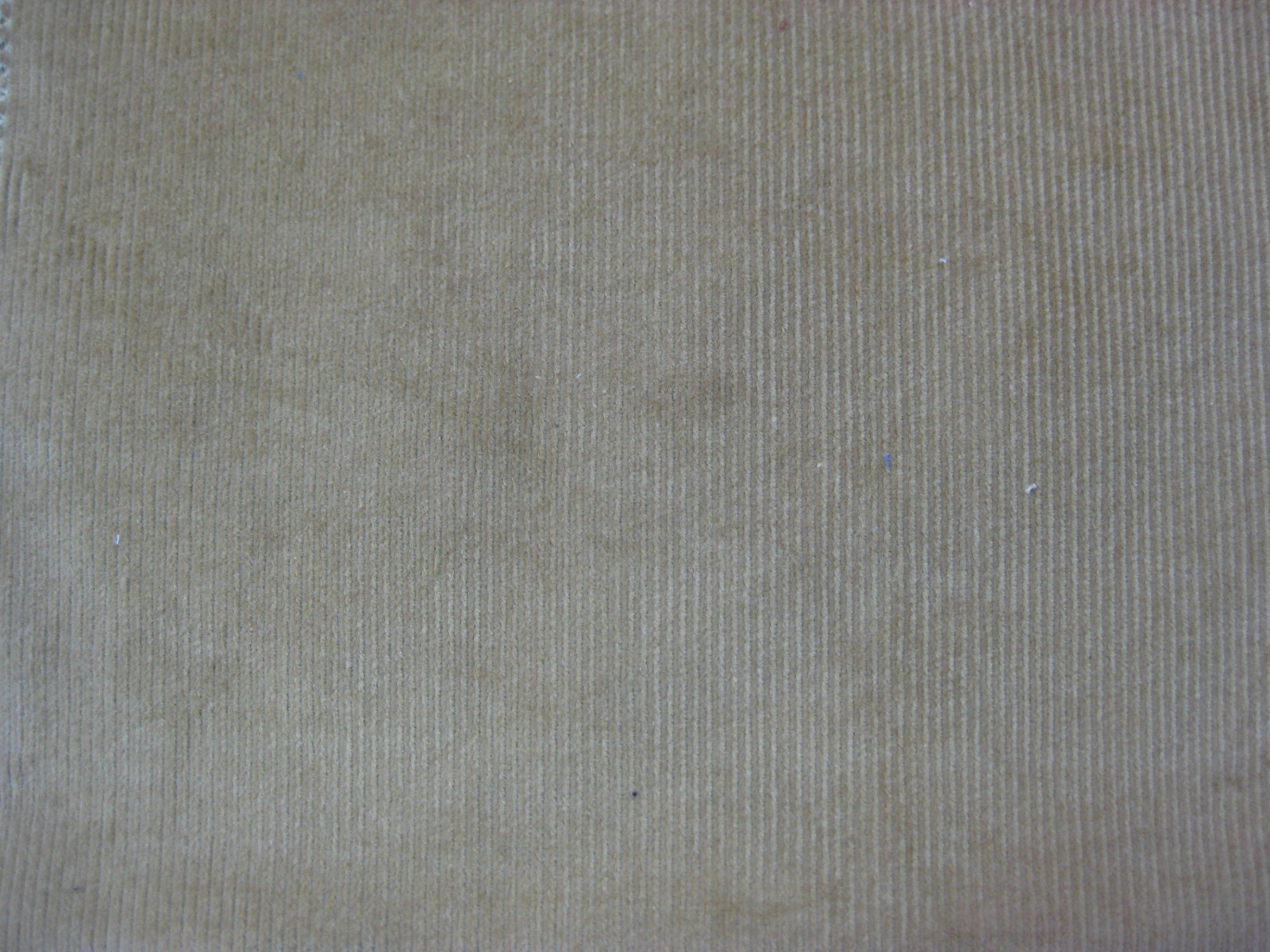 COTTON SPAN CORUDORY 11W