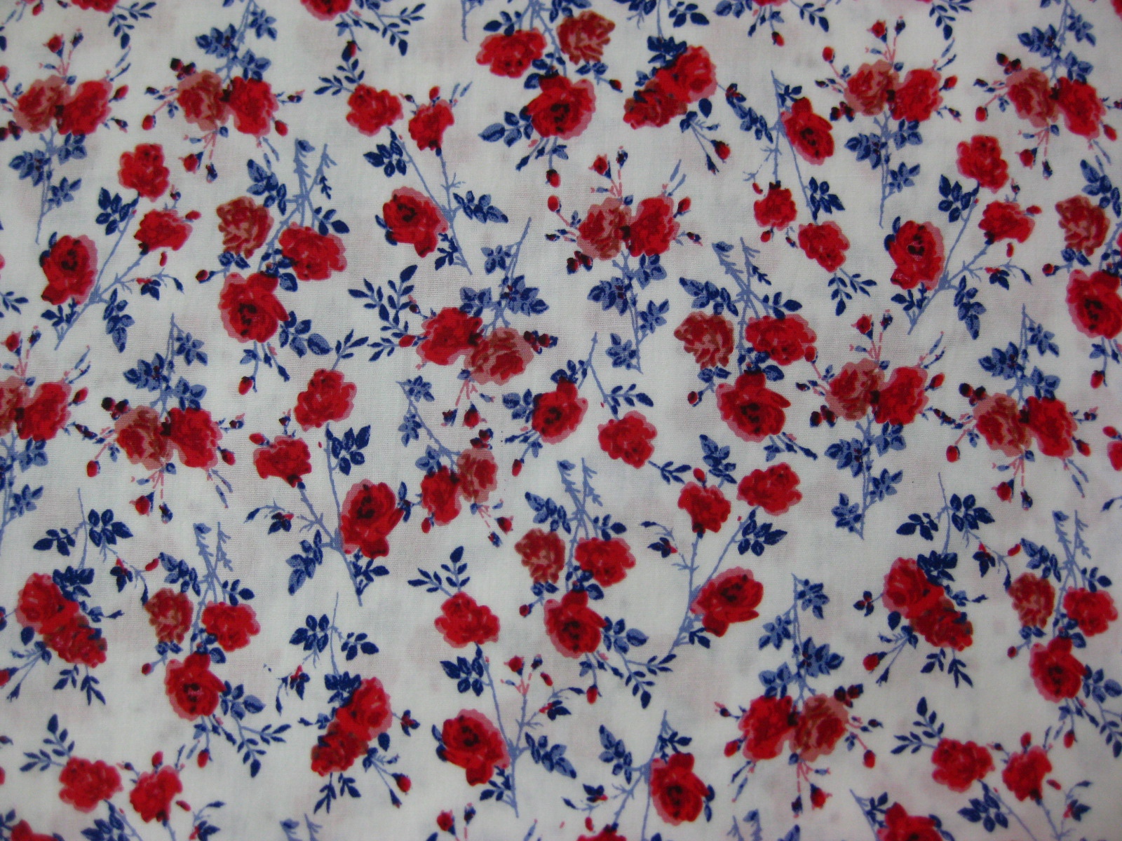 COTTON SPANDEX POPLIN PRINT